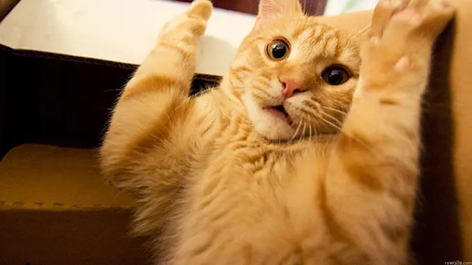 Video Ini Ingatkan Kamu untuk Selalu Berpikir Positif, Yuk Tonton