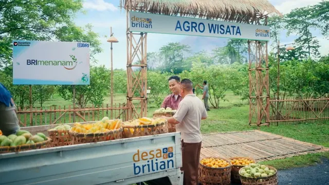 Perluas Pengembangan Ekonomi Desa, BRI Jangkau 5.245 Desa BRILiaN