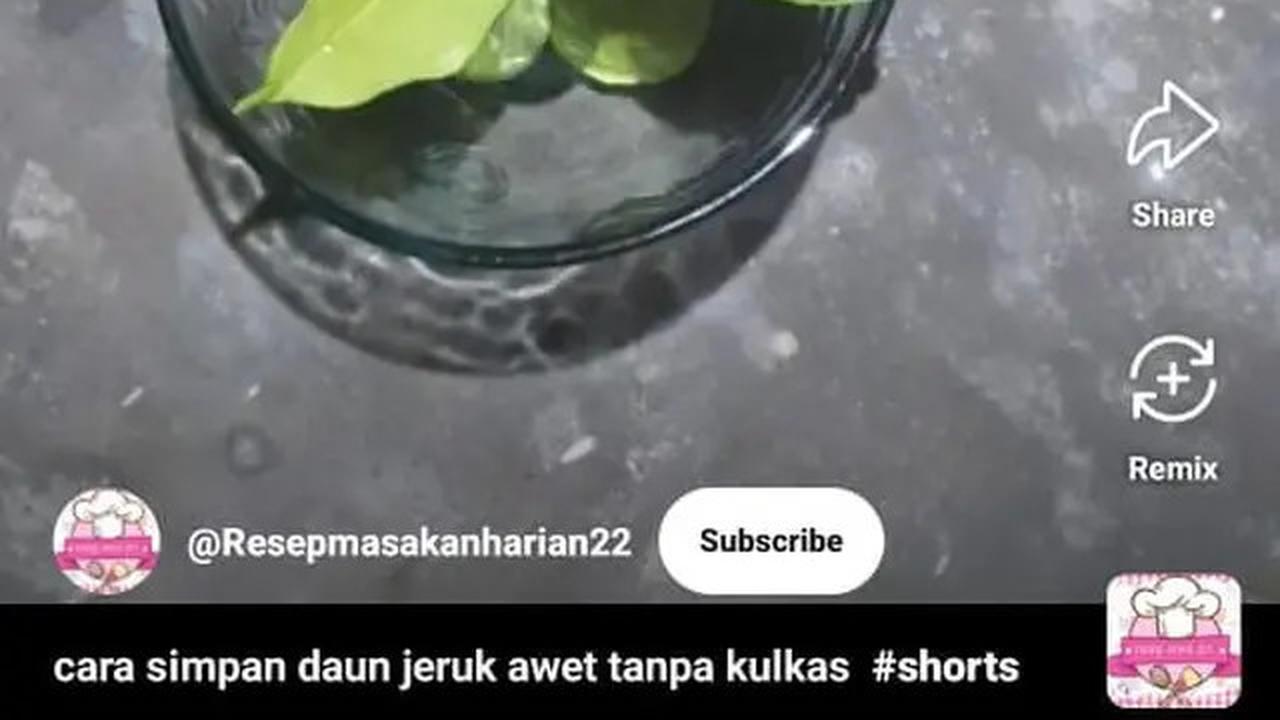 Cara Menyimpan Daun Jeruk agar Tetap Segar hingga Seminggu