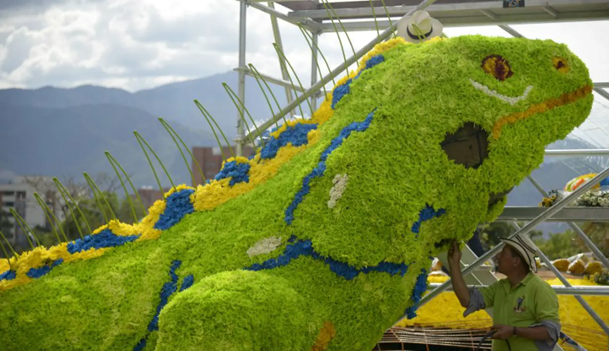Seorang pekerja sedang merangkai bunga menjadi Iguana di Festival Bunga Medellin, Kolombia. Foto diambil pada 31 Juli 2014 (AFP PHOTO/Raul ARBOLEDA)