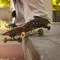 Dua Sahabat Tempuh 500 Km Naik Skateboard dari Inggris ke Belanda, Ini Tujuannya