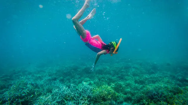 Opsi Isi Liburan Sekolah Anak dengan Belajar Lingkungan di Bali dan Labuan Bajo