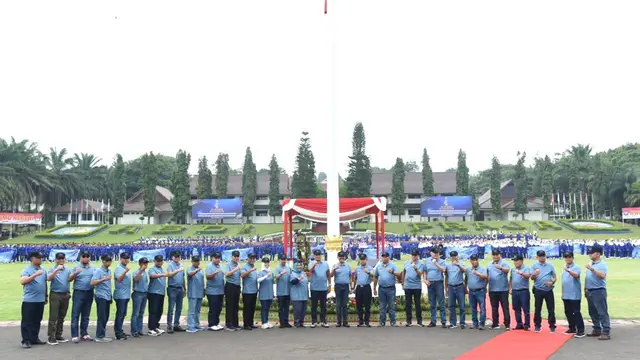 ipdn
