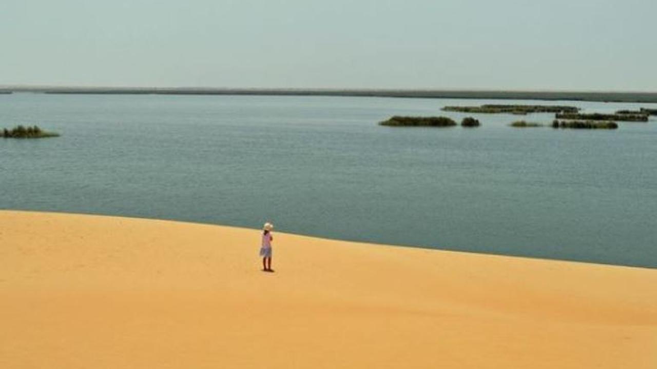 Arab Saudi Siapkan 300 Paket Wisata dan Safari di Alam Liar