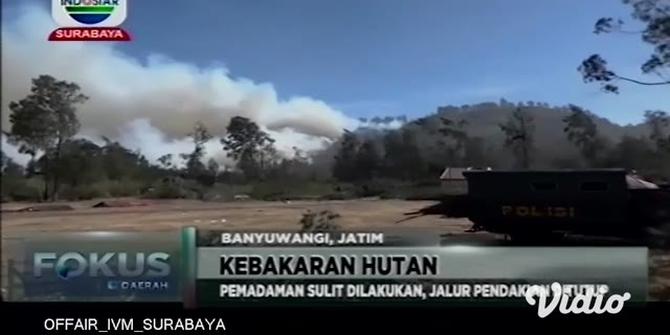 VIDEO: Kebakaran Hutan di Gunung Ranti Meluas ke Lereng Ijen