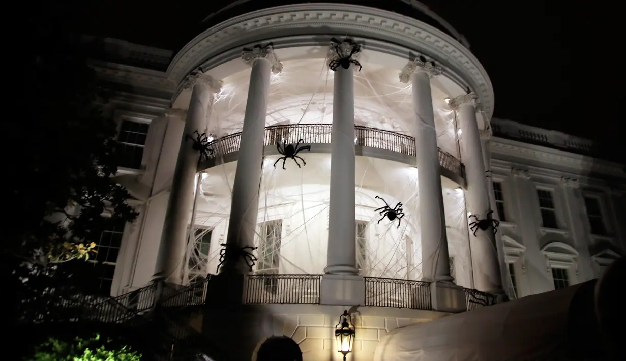 Laba-laba raksasa beserta jaringnya terlihat memenuhi pelataran Gedung Putih, Washington DC, AS, Sabtu (28/10). Laba-laba raksasa tersebut merupakan boneka yang sengaja dipasang dalam rangka menyambut Halloween. (AP Photo/Manuel Balce Ceneta)