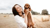 Ilustrasi Mimpi Seputar Anjing Credit: pexels.com/Dominika