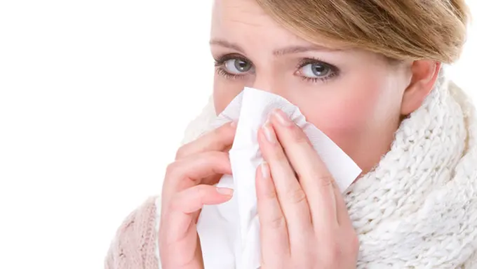 Foto: copyright Shutterstock.com