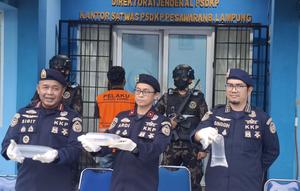 Upaya penyelundupan 31.255 ekor benih bening lobster (BBL) di wilayah Lampung berhasil digagalkan. (Liputan6.com/Ardi Munthe)