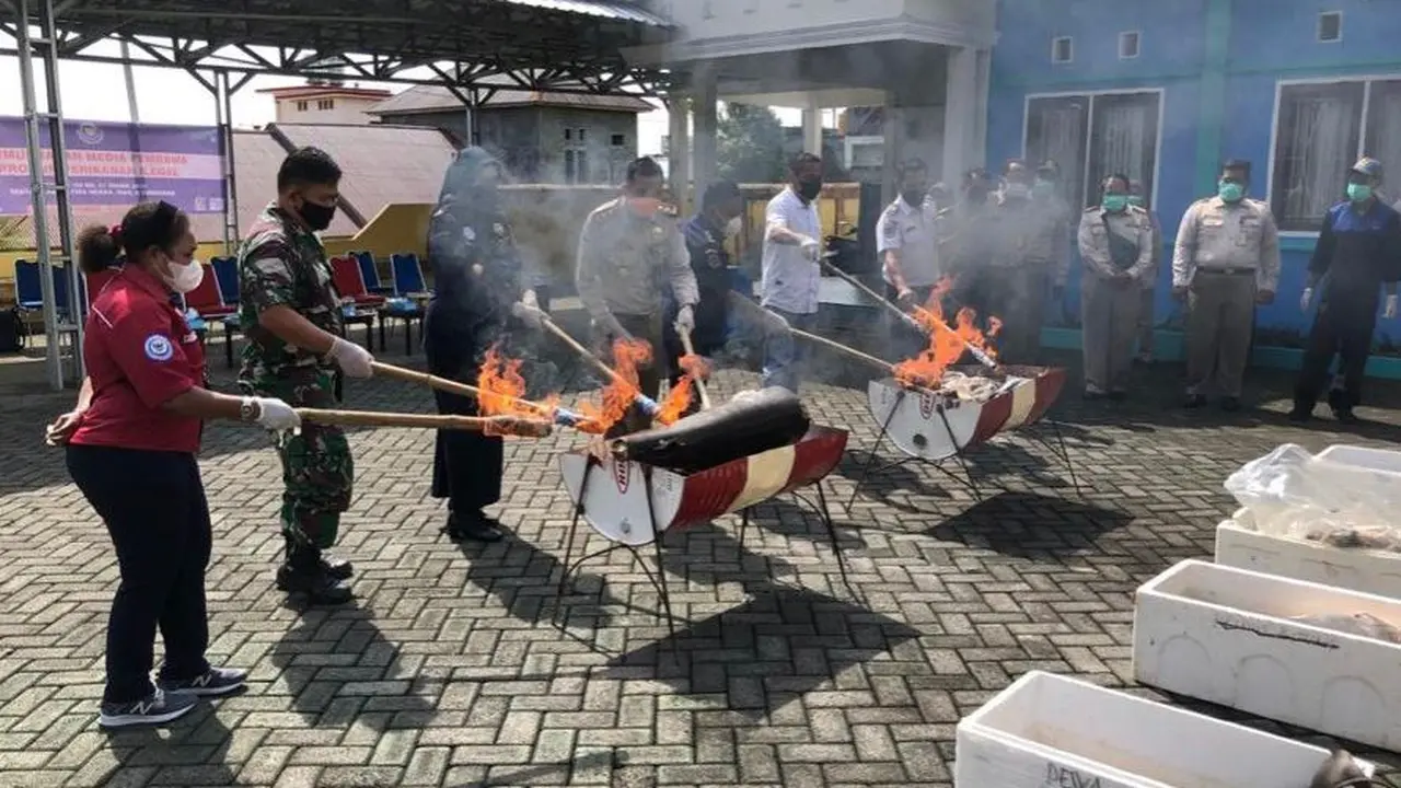 KKP Ternate memusnahkan 121,9 kg komoditas perikanan. Terdiri dari 30kg ikan hiu dan 90kg ikan cakalang. (Dok KKP)