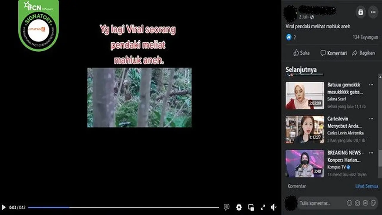 Gambar Tangkapan Layar Video yang Diklaim Seorang Pendaki Melihat Makhluk Aneh (sumber: Facebook).
