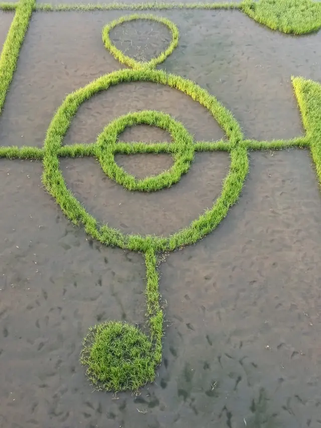 Not khatulistiwa, destinasi wisata alternatif yang terbuat dari pematang sawah, di Desa Buntu, Kecamatan Tapa, Kabupaten Bone Bolango, Gorontalo. (Foto: Liputan6.com/Arfandi Ibrahim)