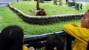 Bambang mengungkap jerapah dan gajah masih menjadi kandang satwa terfavorit bagi pengunjung. (Liputan6.com/Herman Zakharia)