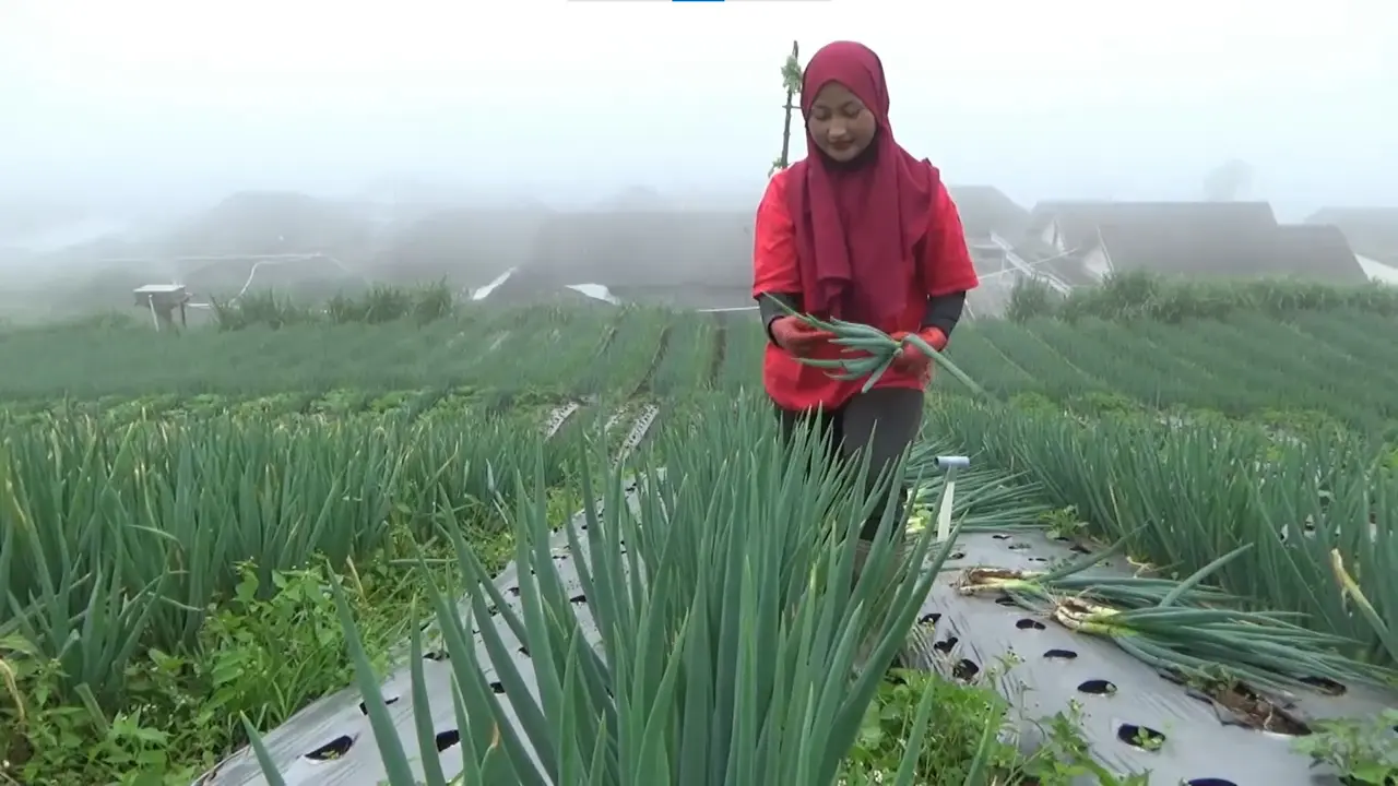 Novi Listiani, Biduan yang Menjadi Petani