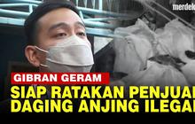 VIDEO: Solo Pemakan Daging Anjing Ilegal Terbesar, Gibran Siap Ratakan Pedagang Nakal