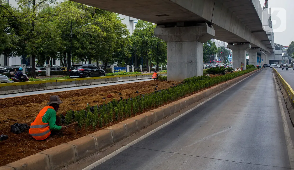 Petugas Sudin Kehutanan Jakarta Selatan melakukan penanaman pohon melati Jepang di bawah jalur MRT Jalan Sisingamangaraja, Jakarta, Kamis (31/10/2019). Penanaman pohon melati Jepang di bawah jalur MRT tersebut untuk penghijauan dan mempercantik tata ruang kota. (Liputan6.com/Faizal Fanani)