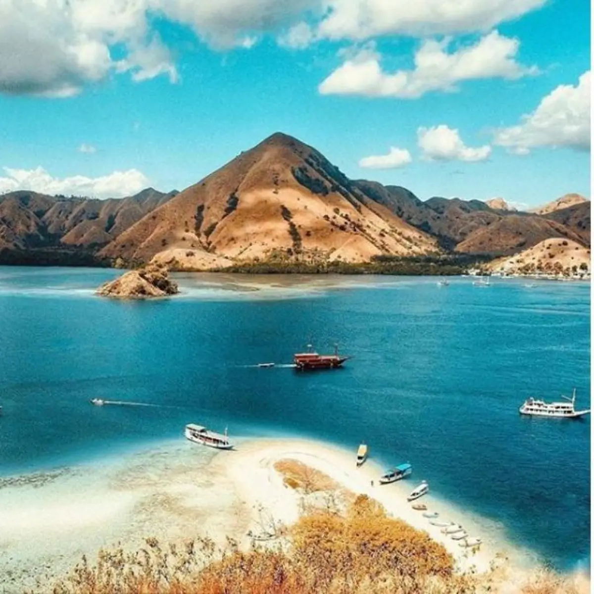 Wisata Pulau Komodo, Tempat Wisata Favorit di Nusa Tenggara Timur - Hot  Liputan6.com