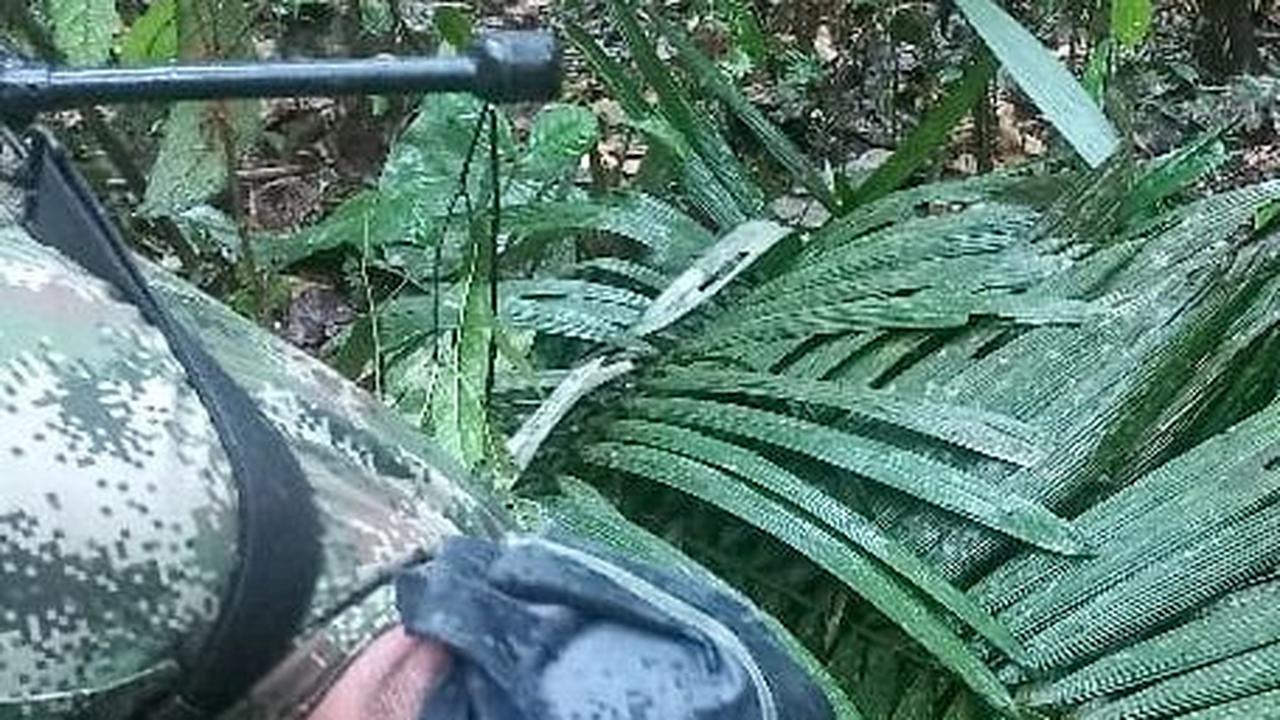 Tanda-tanda kehidupan