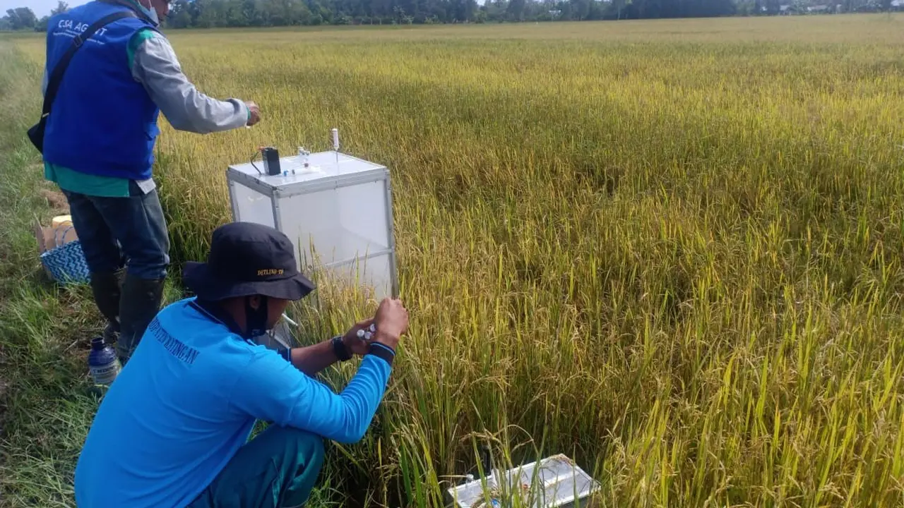 Kabupaten Katingan memanfaatkan program Strategic Irrigation Modernization and Urgent Rehabilitation Project (SIMURP) dari Kementan untuk menurunkan emisi Gas Rumah Kaca (Istimewa)..