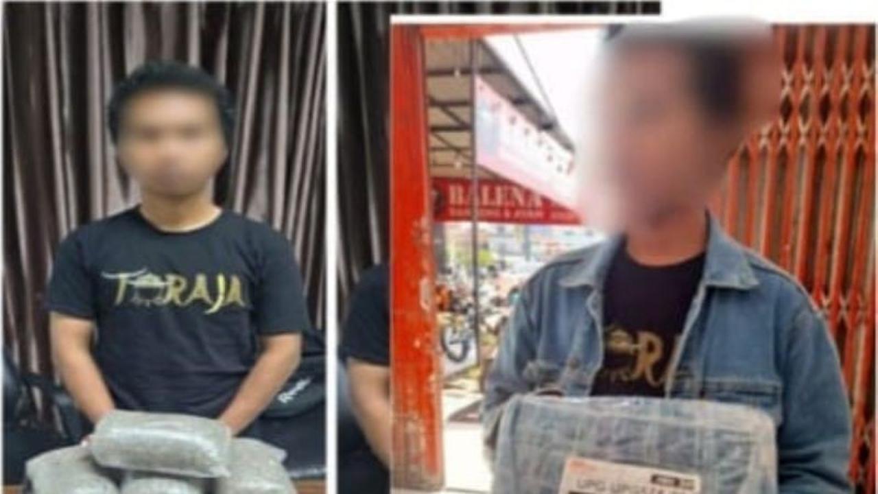 Terungkap! Modus Bubuk Kopi Gagal, Bea Cukai Makassar Gagalkan Penyelundupan Ganja 1,2 Kilogram