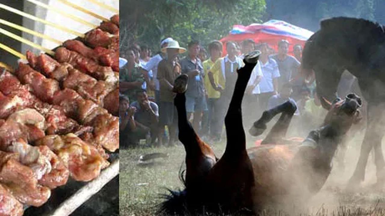 Sate Kuda
