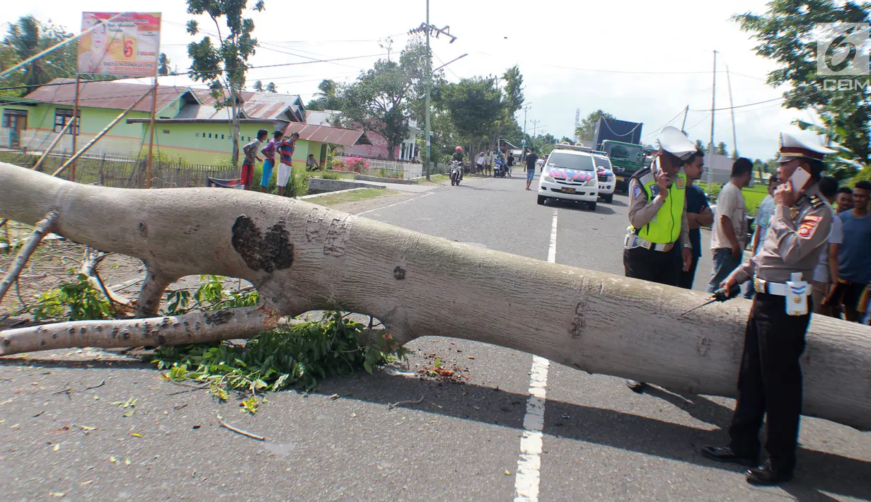 Polisi mengatur lalu lintas saat sebuah pohon berumur puluhan tahun tumbang di Jalan Trans Sulawesi, Limboto, Gorontalo, Senin, (21/1). Pohon tumbang menimpa sebuah mobil dan kabel listrik bertegangan tinggi. (Liputan6.com/Arfandi Ibrahim)