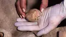 Arkeolog menunjukkan telur ayam berusia 1.000 tahun yang ditemukan selama penggalian di Kota Yavne, Israel, Rabu (9/6/2021). Bahkan di seluruh dunia, ini adalah penemuan yang sangat langka. (Emmanuel DUNAND/AFP)