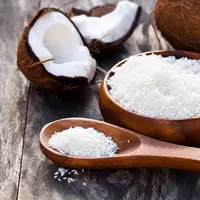 ilustrasi kelapa parut/Elena Zajchikova/Shutterstock