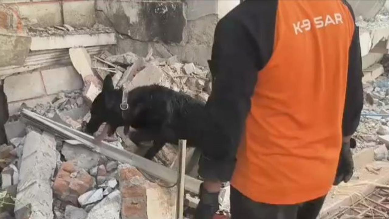 VIDEO: Momen Heroik Anjing Pelacak Polisi Indonesia Berjibaku Temukan Korban Gempa Myanmar
