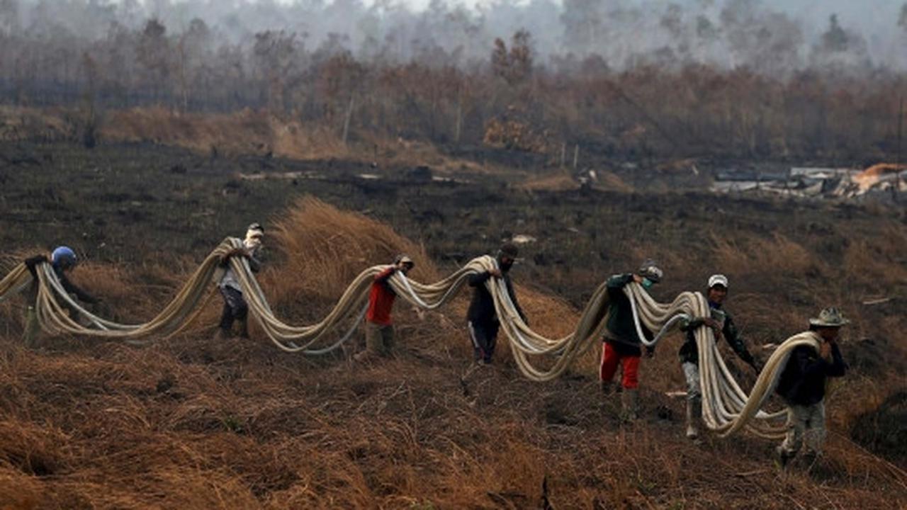 Kisah heroik warga Sumsel bantu padamkan kebakaran hutan