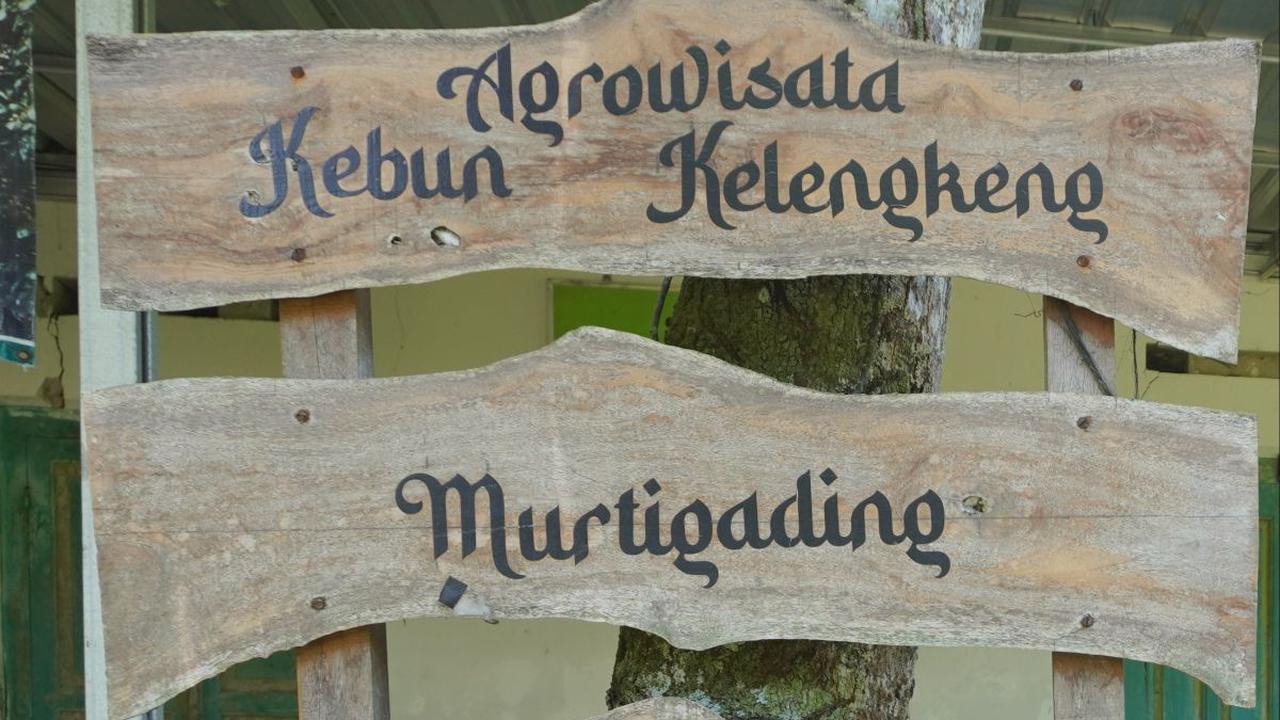 Bermula dari Banyaknya Lahan Tidur