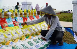 Penyaluran beras SPHP untuk 2026 bakal dimulai 1 Februari 2026. (Foto: Bapanas)