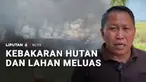 Kebakaran hutan dan lahan gambut di Kecamatan Jempang, Kutai Barat, Kalimantan Timur, semakin meluas hingga mencapai ratusan hektare. Kobaran api yang memanjang hingga 2 kilometer kini mendekati permukiman warga.