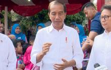 Jokowi Tunggu Hasil Riset Kemenkes, BPOM dan BRIN untuk Putuskan Legalitas Kratom di Indonesia