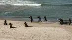 Pejuang bersenjata turun dari perahu karet di pantai selama latihan militer di Kota Gaza (29/12/2020).  Untuk pertama kalinya, Hamas bersama sayap militer kelompok-kelompok perlawanan Palestina lainnya menggelar latihan perang gabungan. (AFP/Mohammed Abed)