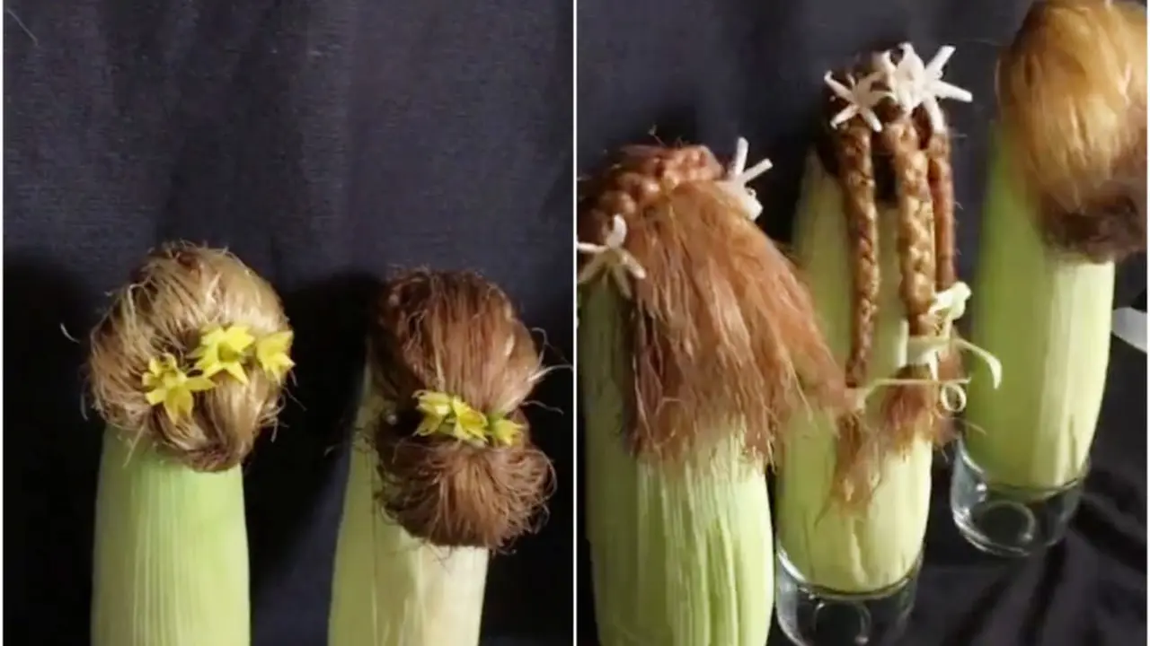 Ilustrasi Stylist Serabut Jagung