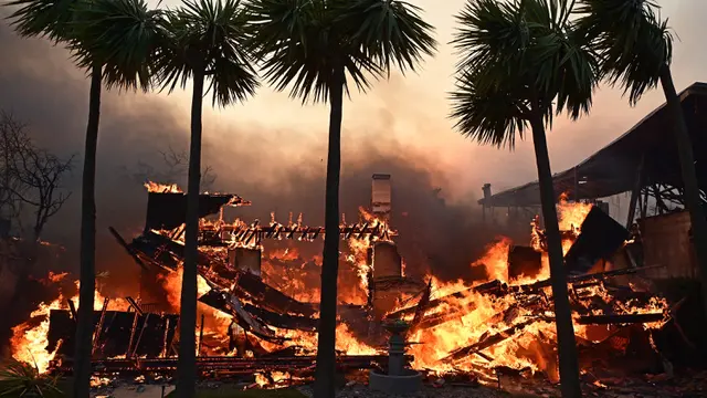 Potret Kehancuran Kawasan Elite Pacific Palisades Pasca-Kebakaran Hutan Hebat