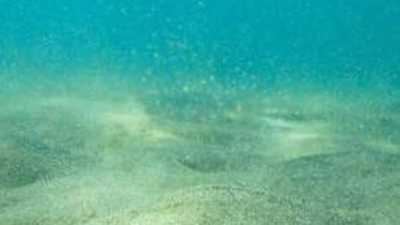 Hilang 155 Juta Tahun Lalu, Benua Seluas AS Akhirnya Ditemukan di Dasar Laut