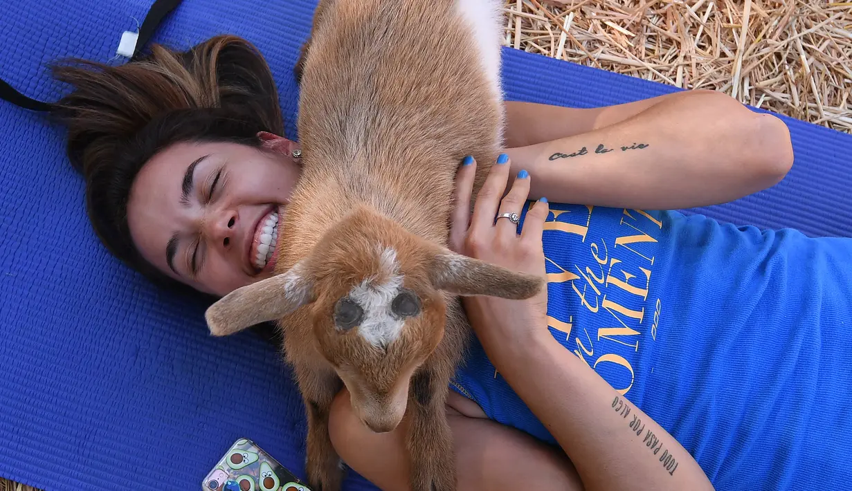 Seorang peserta kelas "Goat Yoga" bermain dengan anak kambing di sela sesi latihan di Thousand Oaks, California (4/6). Dalam kelas yoga kambing ini, beberapa ekor kambing akan melompat-lompat di kelas menghibur para peserta. (AFP Photo/Mark Ralston)