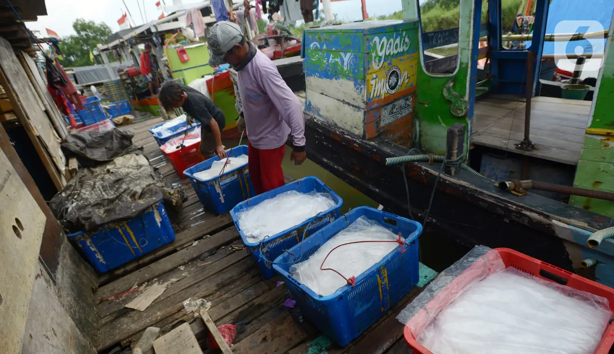 Sejumlah nelayan beraktivitas di Dermaga Muara Angke, Jakarta, Selasa (19/2021). Memasuki musim pancaroba ditambah kencangnya angin, nelayan mengatakan hasil tangkapan ikan menjadi tidak menentu. (merdeka.com/Imam Buhori)