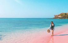 Jelajahi 5 Destinasi Wisata Ikonik di Lombok Timur, Surganya Lautan Eksotis dan Legendaris