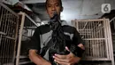 Safak (46) saat menunjukkan ayam Cemani di peternakan rumahan kawasan Kedu, Kabupaten Temanggung, Jawa Tengah (27/2/2023). Kecamatan Kedu yang berada di Kabupaten Temanggung terkenal sebagai pusat ternak sekaligus daerah asal ayam Cemani. (merdeka.com/Iqbal S Nugroho)