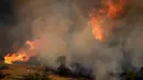 Kepulan asap terlihat saat petugas pemadam kebakaran berusaha memadamkan kebakaran lahan di daerah Kalyvia, dekat Athena, Senin (31/7). Pemerintah Yunani mengkonfirmasi tidak ada korban jiwa dari peristiwa tersebut. (AP/Thanassis Stavrakis)