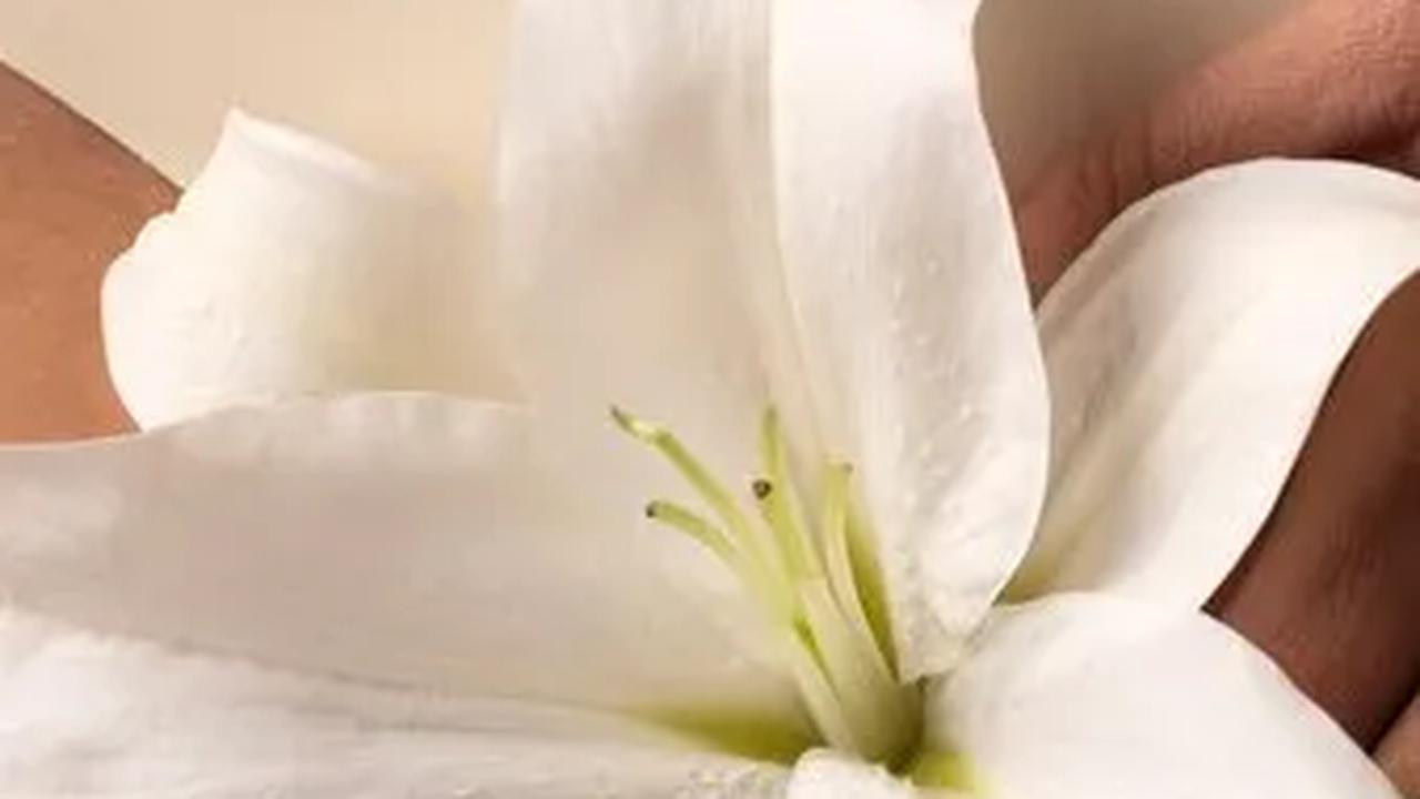Sebagai solusi, berikut adalah beberapa tips untuk mencukur bulu kemaluan dengan nyaman dan menjaga kebersihan vagina.