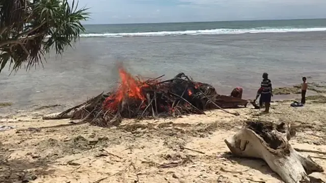 Bangkai Paus Terdampar di Pantai Bengkulu