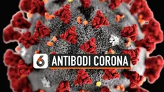 antibodi corona