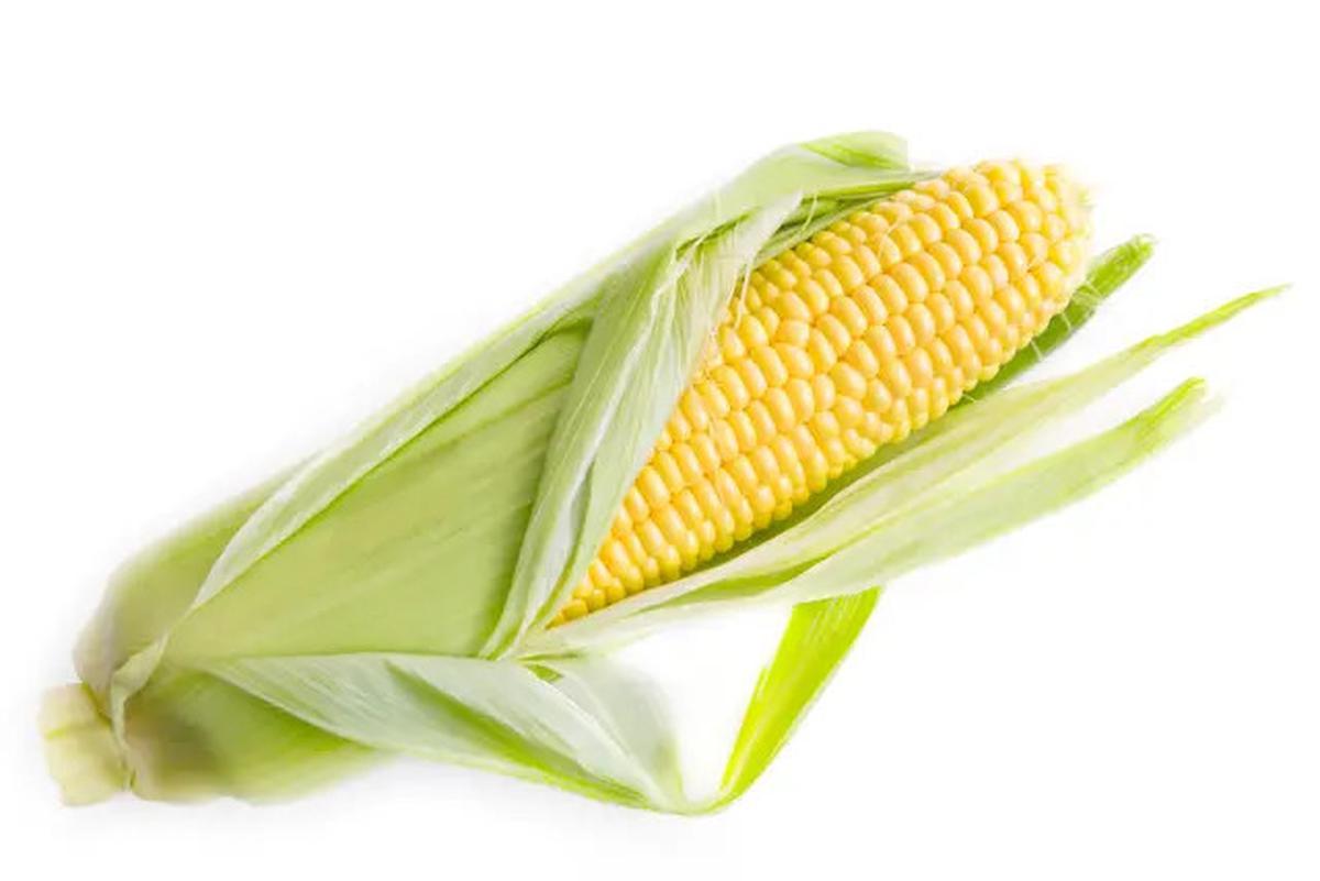 Resep Bakwan Jagung Tanpa Tepung Tetap Renyah