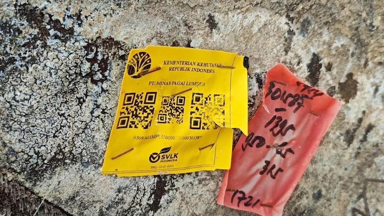 Gelondongan Kayu Berbarcode Kemenhut Terhempas di Pesisir Barat, Asal Kapal Tongkang Sumbar