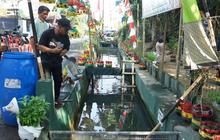 Wali Kota Yogyakarta Dorong Budi Daya Ikan Saluran Irigasi: Dukung Konservasi Lingkungan dan Ekonomi Warga