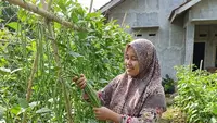 Langkah Tanam Kacang Panjang di Rumah untuk Pemula yang Terbukti Berhasil, Panen Berkali-kali